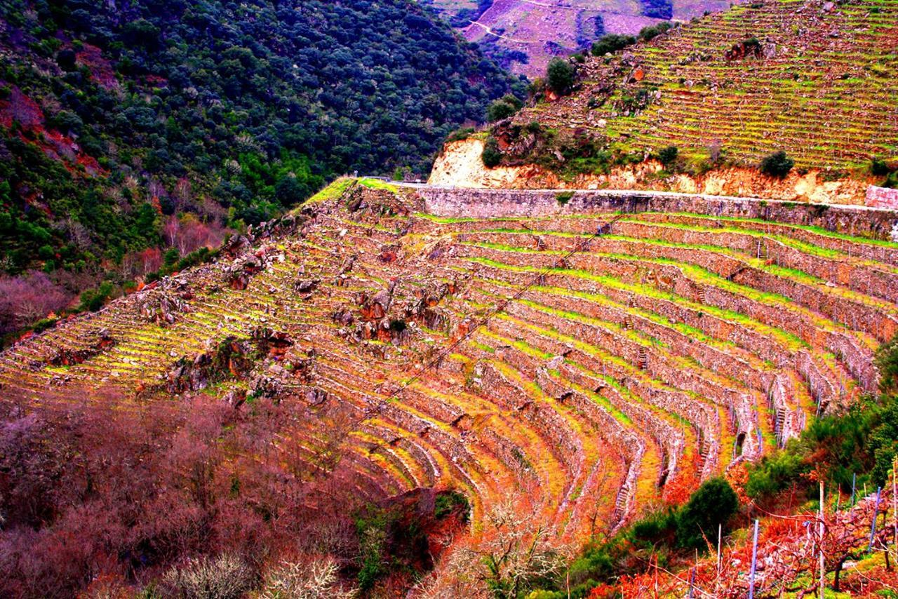 Castelodobispo - Ourense Sobrado del Obispo Екстериор снимка